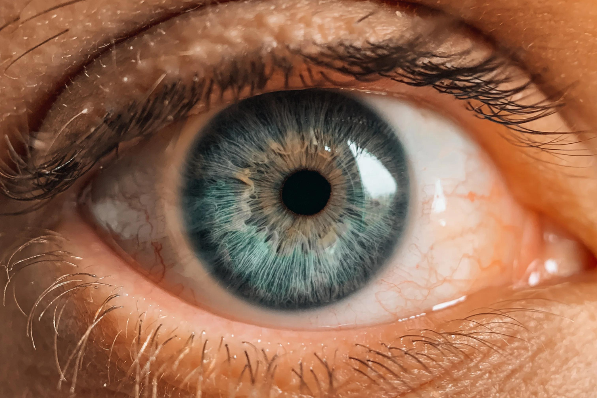 Les astuces pour photographier des l’iris des yeux objectif macro pour smartphone !