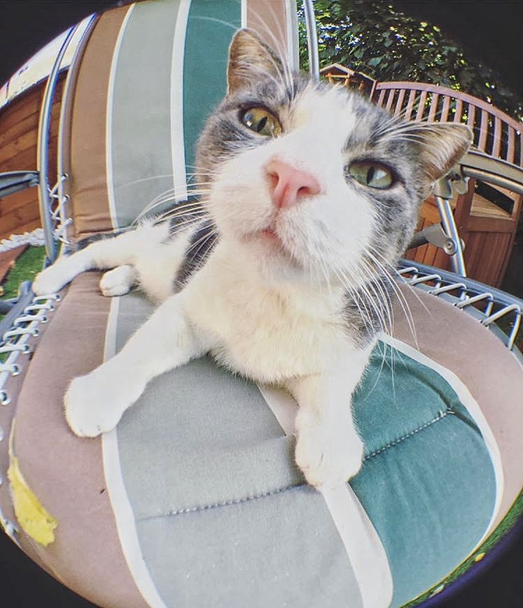 Pack Starter Objectif Fisheye Pixter